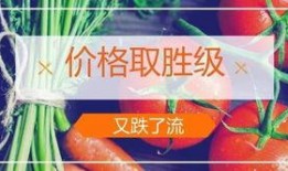 卖菜短视频爆料文案,卖菜背后的真实故事